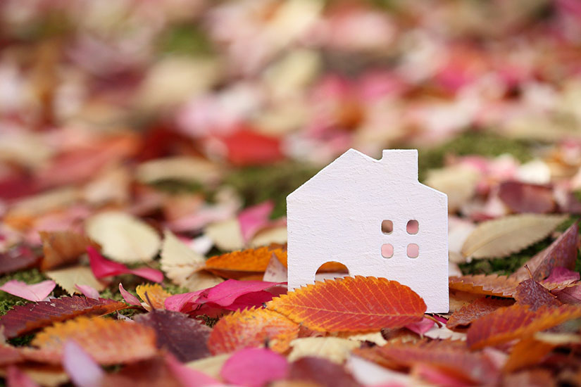秋の落ち葉の上に置かれた白い家のミニチュア