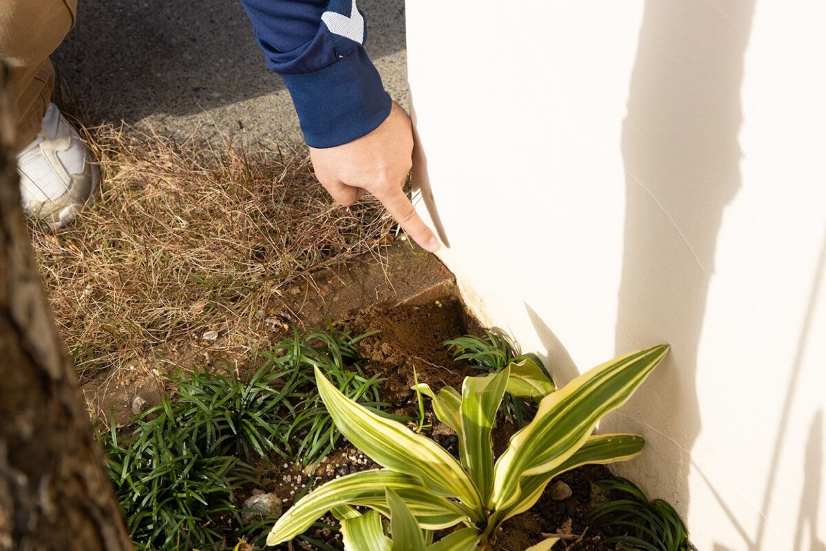 植木を1〜2cmほど掘り下げて、白い門柱の下部を指差している様子
